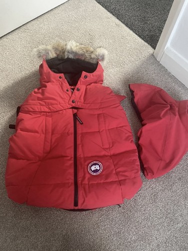 Canada goose bunting - canada,