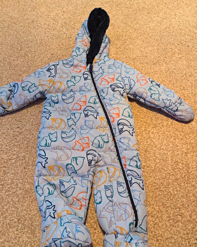 Nutmeg blue animal print - nutmeg,